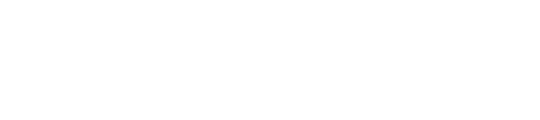 Coonecta Proteção Auto